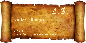 Lantos Barna névjegykártya